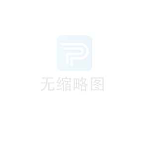 不帶鋼背閘瓦 減速制動裝置 